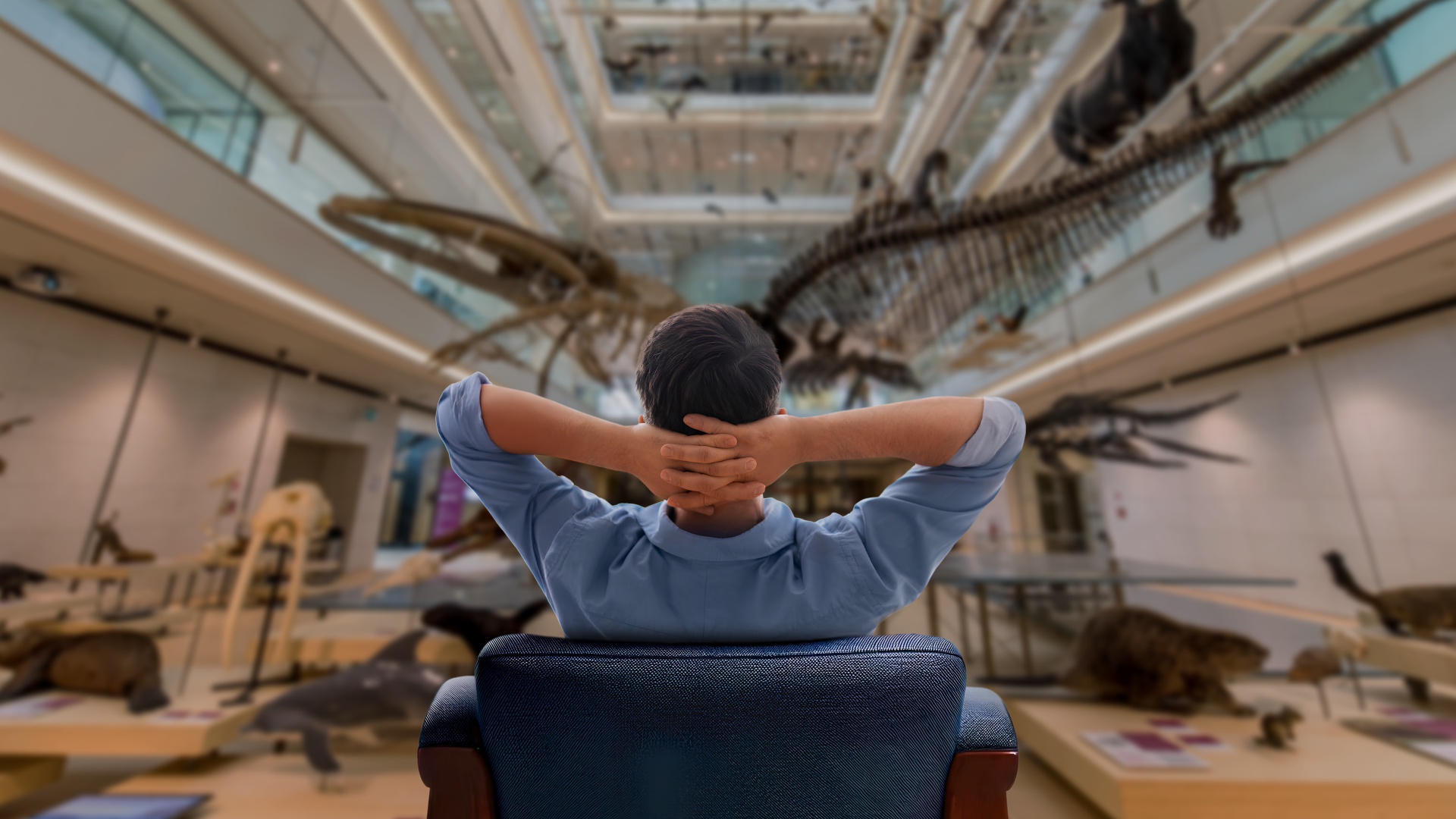 02-MUSE-Soft-pulito.